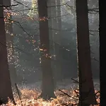 Kleine Souterrain Naehe Hamburg