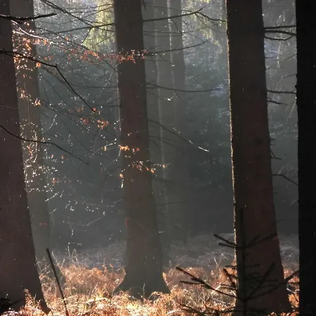 Kleine Souterrain Naehe Hamburg