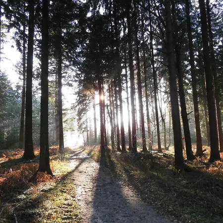 Kleine Souterrain Naehe Hamburg Апартаменты