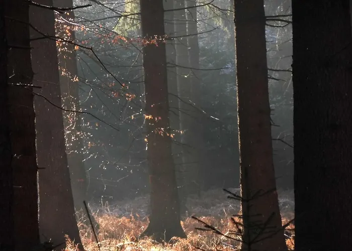 Kleine Souterrain Naehe Hamburg